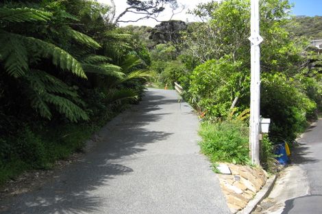 Photo of property in 64 Rayner Road, Piha, 0772