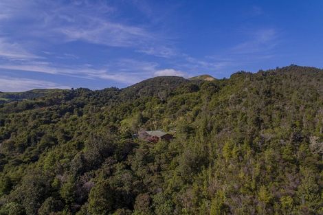 Photo of property in 595 Rangihau Road, Coroglen, Whitianga, 3591