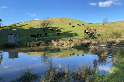 Photo of property in 130 Bowen Road, Eketahuna, 4994