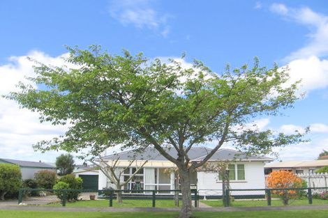 Photo of property in 19 Amaranth Street, Waihi, 3610