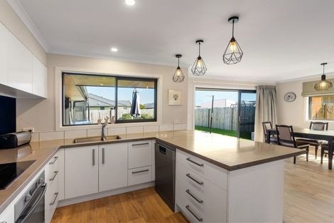 Photo of property in 134 Taylor Pass Road, Witherlea, Blenheim, 7201
