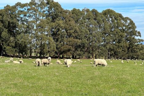 Photo of property in 856 Allanton-waihola Road, Allanton, Mosgiel, 9092