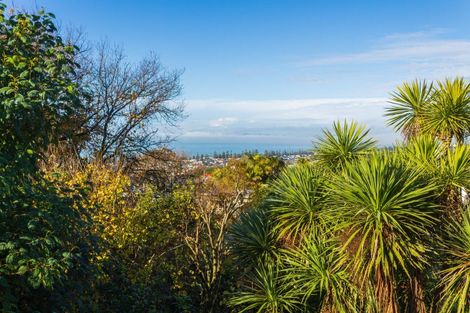 Photo of property in 11a Randall Place, Hospital Hill, Napier, 4110