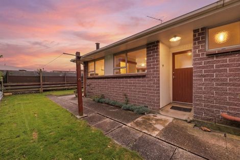 Photo of property in 33d Essex Street, Balclutha, 9230