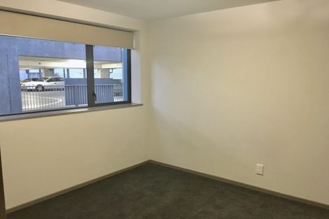 Photo of property in Dual Apartments, 310/142u Vivian Street, Te Aro, Wellington, 6011