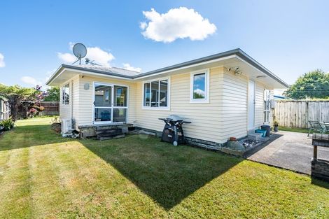 Photo of property in 177 Clarkin Road, Fairfield, Hamilton, 3214