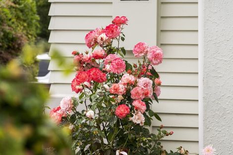 Photo of property in 45 Taipari Street, Maungatapu, Tauranga, 3112