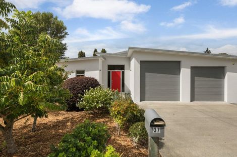Photo of property in 37 Uretara Drive, Katikati, 3129