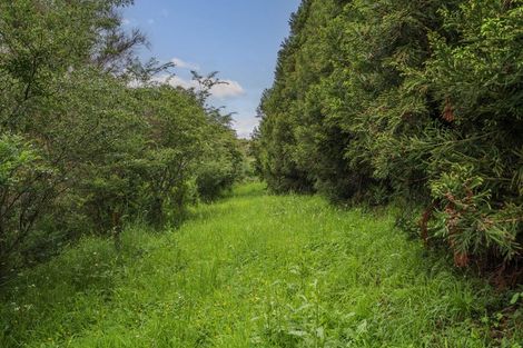 Photo of property in 1032c State Highway 25, Whenuakite, Whitianga, 3591