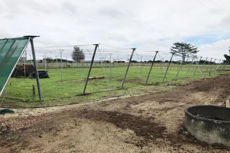 Photo of property in 129 Harrisville Road, Tuakau, 2121