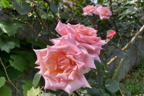 Photo of property in 7 Kauri Road, Stanmore Bay, Whangaparaoa, 0932