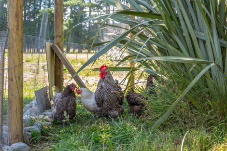 Photo of property in 501 Waihakeke Road, Taumata Island, Carterton, 5792