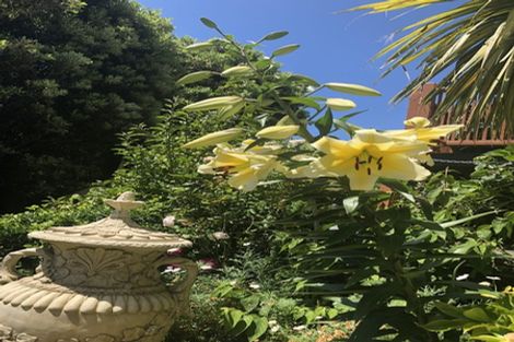 Photo of property in 5 Jefferson Street, Brooklyn, Wellington, 6021