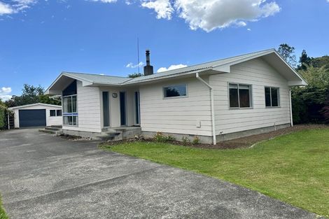 Photo of property in 137 Winchester Street, Ashhurst, 4810