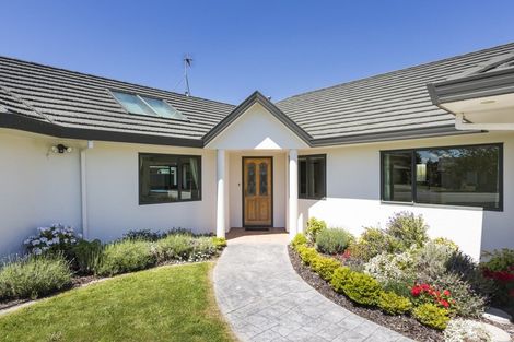 Photo of property in 16 Tudor Grove, Feilding, 4702