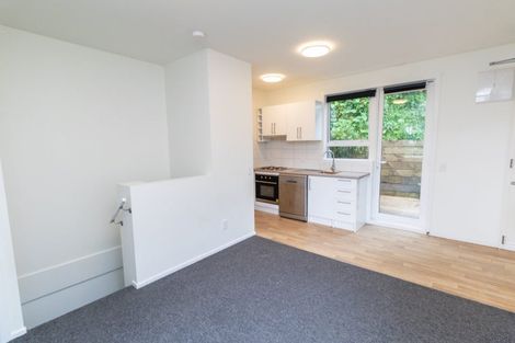 Photo of property in 138 Raroa Road, Aro Valley, Wellington, 6012