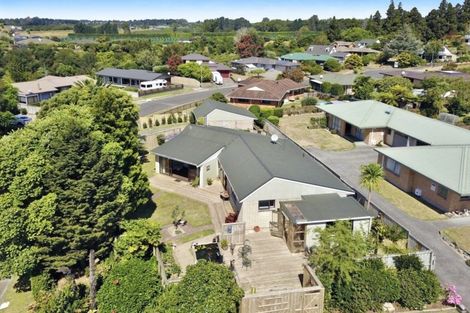 Photo of property in 2 Randell Place, Te Puke, 3119