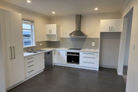 Photo of property in 790 Tremaine Avenue, Roslyn, Palmerston North, 4414