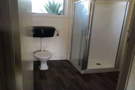 Photo of property in 59 Norton Road, Frankton, Hamilton, 3204