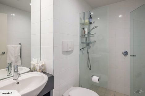 Photo of property in Sanctum Apartment, 10 Ebor Street, Te Aro, Wellington, 6011