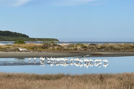 Photo of property in 2 Dawick Street, Foxton Beach, Foxton, 4815