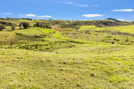 Photo of property in 402 Baylys Coast Road, Dargaville, 0377