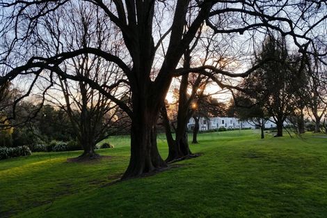 Photo of property in 17 Seager Lane, Hillmorton, Christchurch, 8024