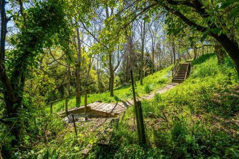 Photo of property in 26 Allan Street, Nelson South, Nelson, 7010