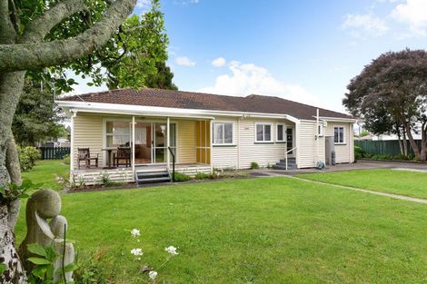 Photo of property in 53 Alfred Street, Fairfield, Hamilton, 3214