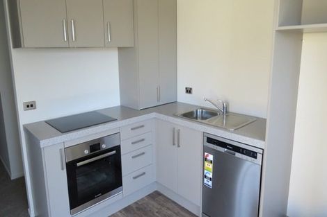 Photo of property in 17u1 Enderley Avenue, Enderley, Hamilton, 3214
