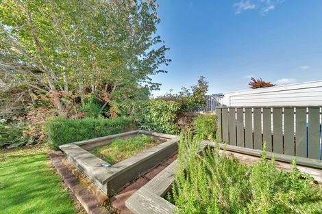 Photo of property in 6 Brecon Road, Stratford, 4332