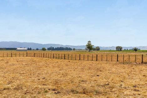 Photo of property in 153b Pah Road, Te Puke, 3189