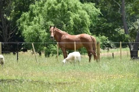 Photo of property in 177 Tapps Road, Canvastown, Havelock, 7178