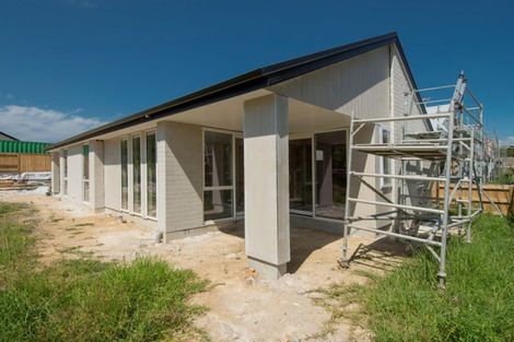 Photo of property in 8 Hauhake Lane, Omokoroa, 3114