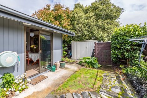 Photo of property in 178a Chapel Street, Masterton, 5810