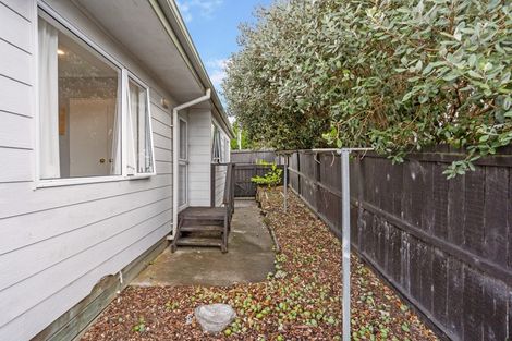 Photo of property in 163 Don Buck Road, Massey, Auckland, 0614
