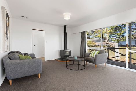 Photo of property in 10 Hinerau Street, Henderson, Auckland, 0612