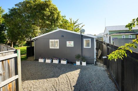 Photo of property in 101a Limbrick Street, Terrace End, Palmerston North, 4410