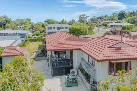 Photo of property in 41 Domain Road, Waipawa, 4210