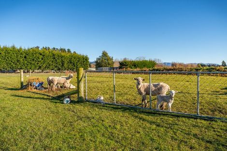 Photo of property in 14 Bathgates Road, Waimate, 7980