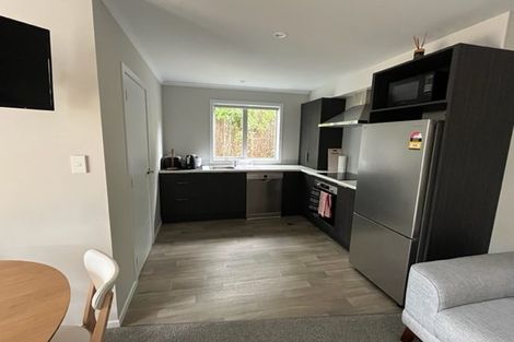 Photo of property in 16u3 Manning Street, Hamilton Central, Hamilton, 3204