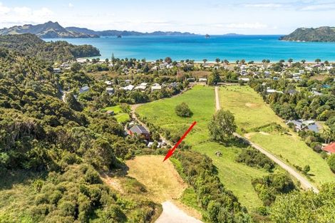 Photo of property in 925a Purangi Road, Cooks Beach, Whitianga, 3591