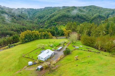 Photo of property in 795 Oio Road, Owhango, 3990