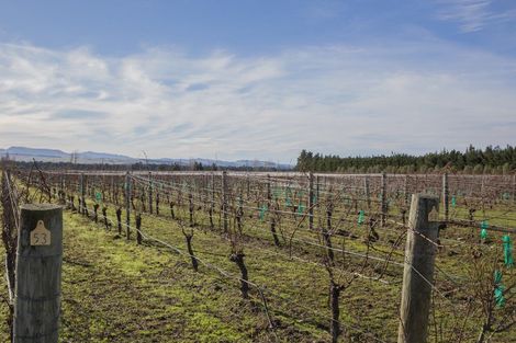 Photo of property in 246 Georges Road, Glasnevin, Amberley, 7482