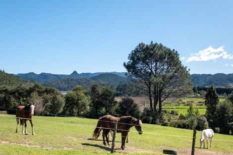Photo of property in 896a Hikuai Settlement Road, Pauanui, Hikuai, 3579