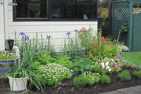 Photo of property in 376a Hardy Street, Nelson, 7010