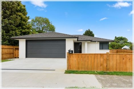 Photo of property in 41a Queenwood Road, Levin, 5510
