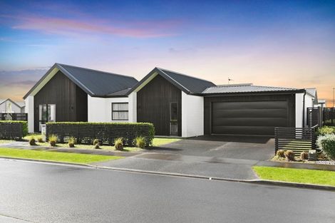 Photo of property in 22 Voight Avenue, Chartwell, Hamilton, 3210