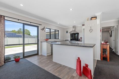 Photo of property in 15 Allendale Place, Morrinsville, 3300