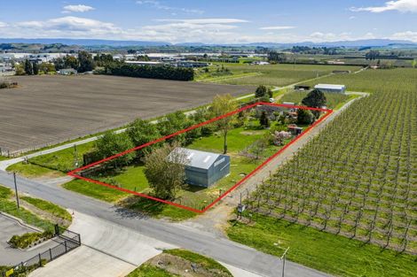 Photo of property in 19 Jarvis Road, Twyford, Hastings, 4175